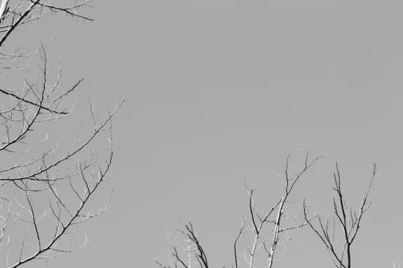 אקס קזינו תמיכה